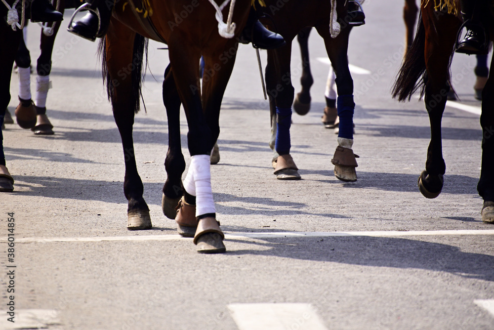 Group of horses running on road in a race Group of horses running on road in a race