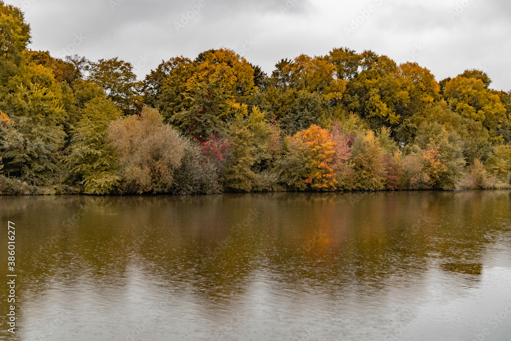 Herbstliche Uferlandschaft