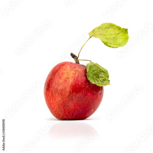 Ripe red apple on a white background