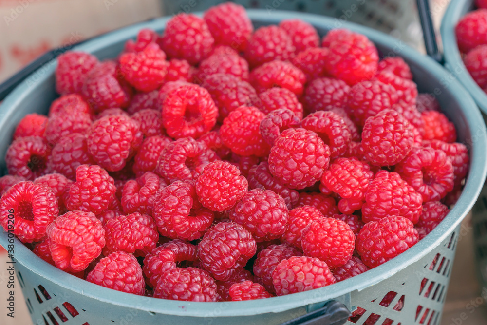 Container of a pile of Red Juicy Raspberries at the farmers market Container of a pile of Red Juicy Raspberries at the farmers market