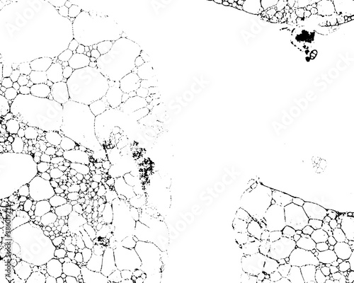 Vector grunge texture 59