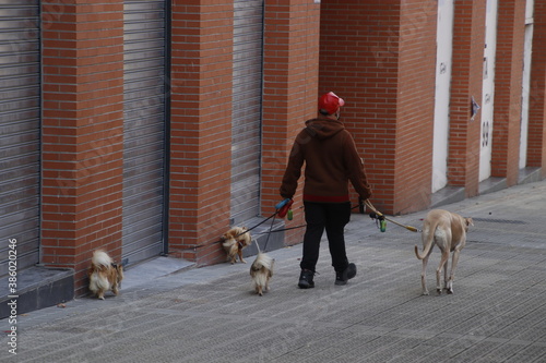 Man walking with his four dogs