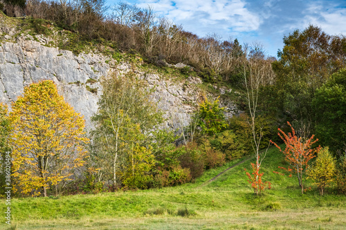 A landscape image of autumnal trees at Warton Crag, a popular nature reserve in lancashire, England