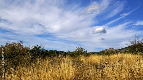 clouds above field