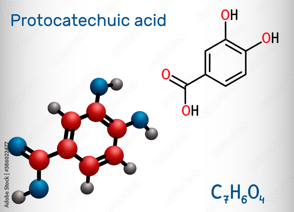 Protocatechuic acid, PCA molecule. It is 3,4-dihydroxybenzoic, phenolic acid, metabolite of antioxidant polyphenols, catechol, is found in green tea. Structural chemical formula, model. Vector Protocatechuic acid, PCA molecule. It is 3,4-dihydroxybenzoic, phenolic acid, metabolite of antioxidant polyphenols, catechol, is found in green tea. Structural chemical formula, model. Vector
