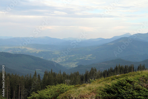 beautiful landscape with mountain views, in the foreground green plants