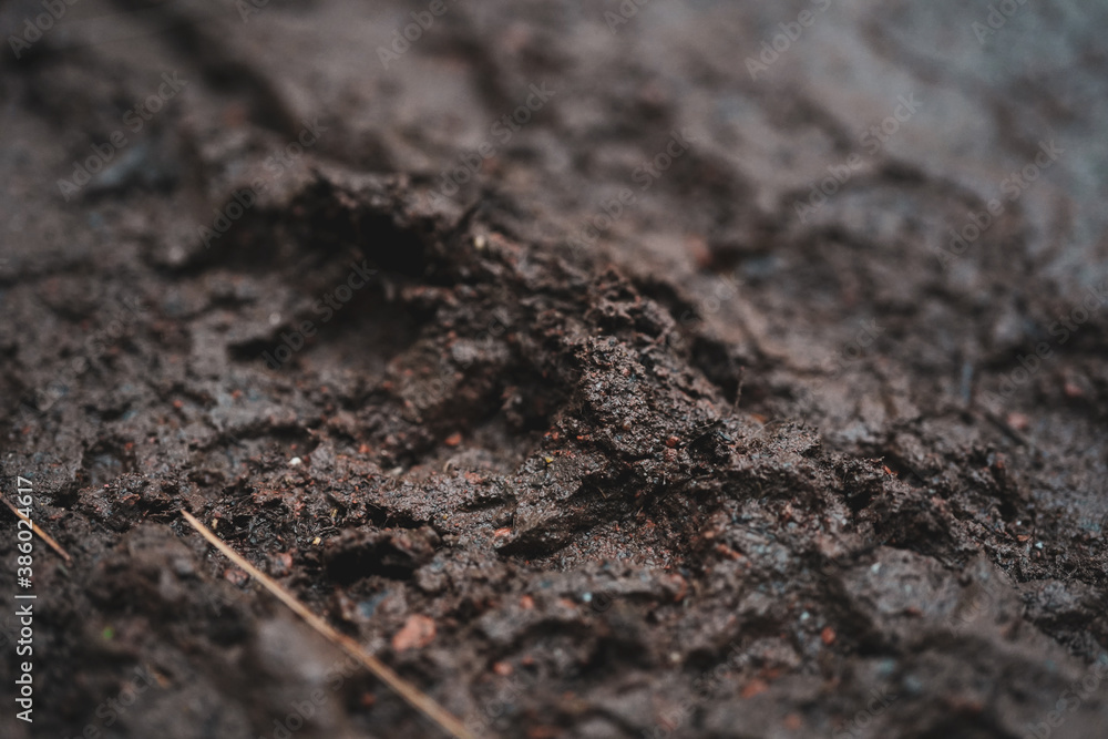 muddy soil muddy soil