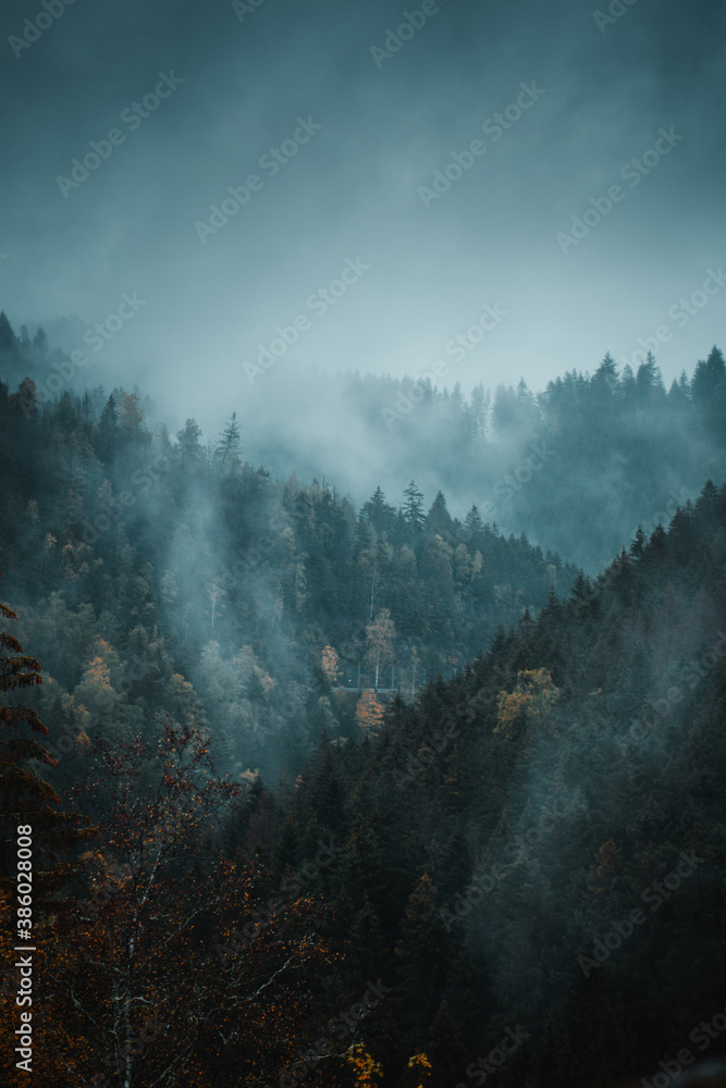 Moody dark mountain scene with pine tree silhouettes on a rainy autumn day with fog and mist. Perfect winter mood in the nature. Harz National Park, Harz mountains in Germany