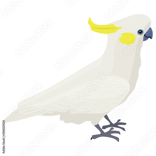 
A small sparrow like bird in white color  depicting cockatoo
