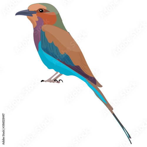 
A colorful bird with long beak depicting  eurasian finch 
