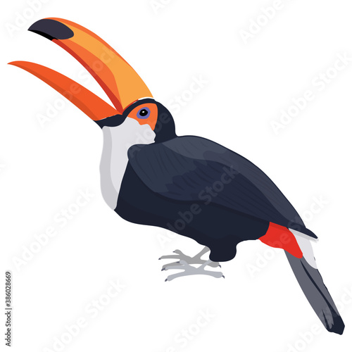 
Crow like colorful bird having  long beak, toco toucan 
