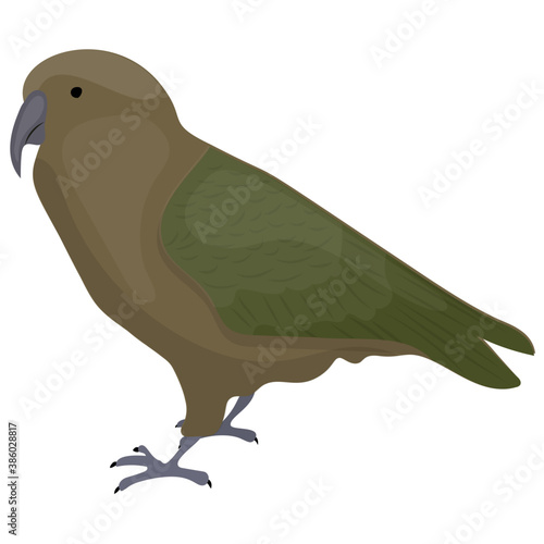 
Small feathered bird in brown color representing golden eagle 
