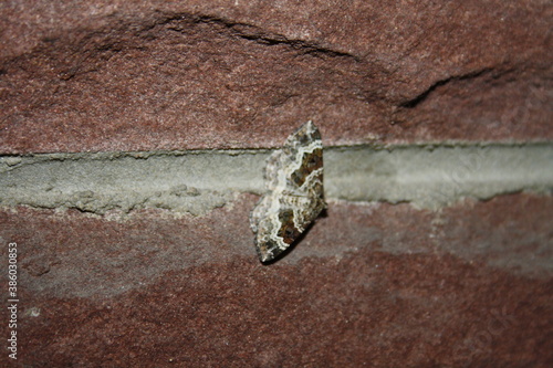 Lace border on wall