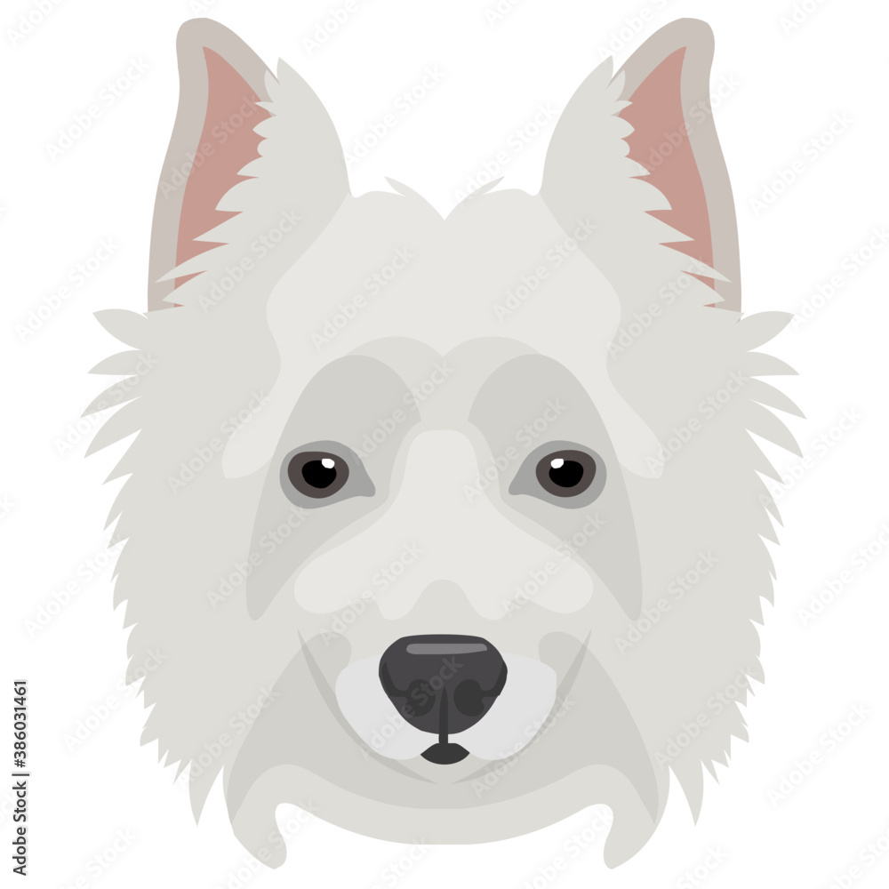 A cute white puppy with small eyes and erect ears denoting siberian husky
A cute white puppy with small eyes and erect ears denoting siberian husky