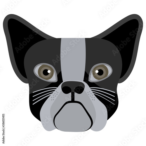
An animal with the bulky mouth and outwards ears depicting bulldog 
