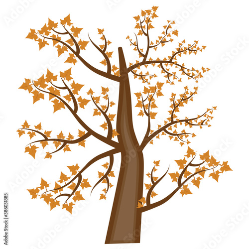
A wide branches tree having rustic tree leaves 
