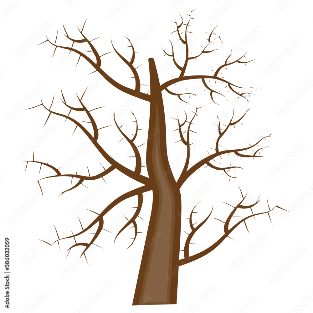 Naked Trees without leaves presenting autumn season
Naked Trees without leaves presenting autumn season