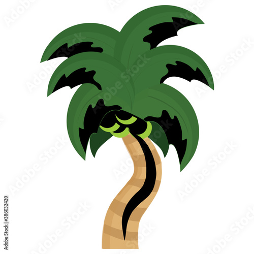  Tropical tree with leaves shaped like a hand showing palm tree 