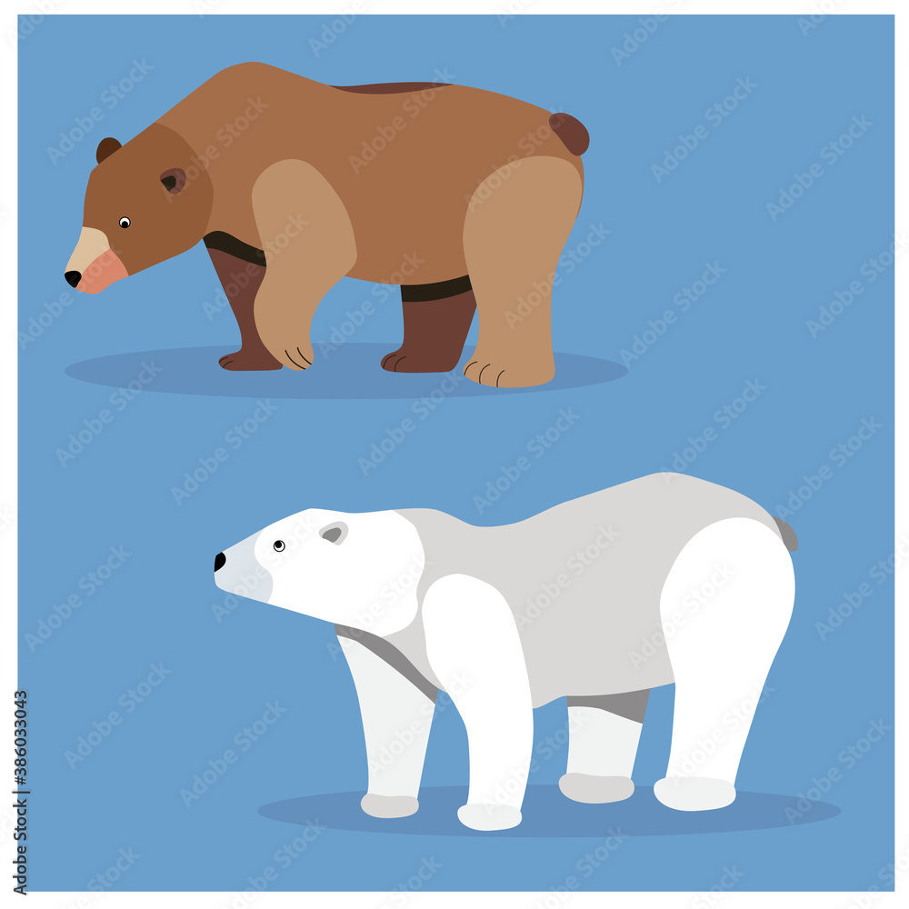 Brown bear and Polar bear vector illustration Brown bear and Polar bear vector illustration