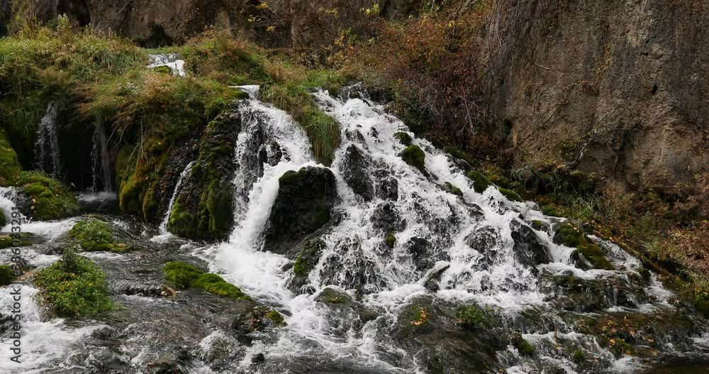 Mountain waterfall cascade moss forest 4K. Beautiful clear water high mountain stream from springtime snow melt and natural springs. Moss with rocks form waterfalls. Scenic nature environment. Mountain waterfall cascade moss forest 4K. Beautiful clear water high mountain stream from springtime snow melt and natural springs. Moss with rocks form waterfalls. Scenic nature environment.