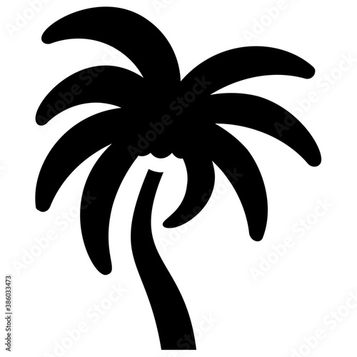  Tropical tree with leaves shaped like a hand showing palm tree 