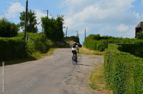 Cycliste dans le Pays d'Auge (Normandie - France)