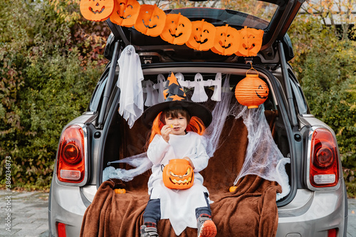 Photography Trick or trunk
