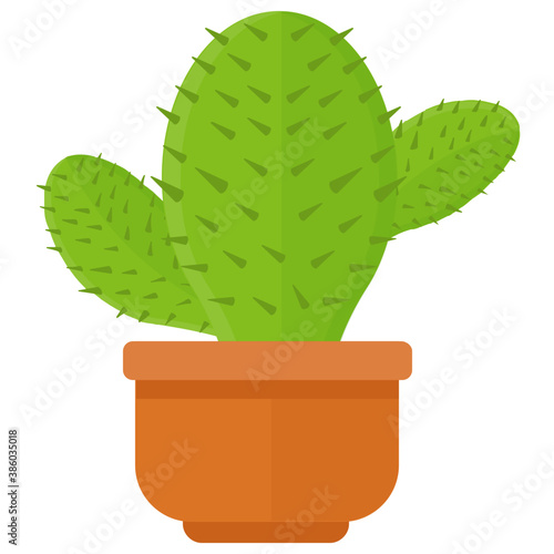 
A pot having flat shape leaves, indoor prickly pear 
