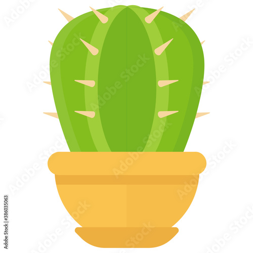
A pot having flat shape leaves, indoor prickly pear 
