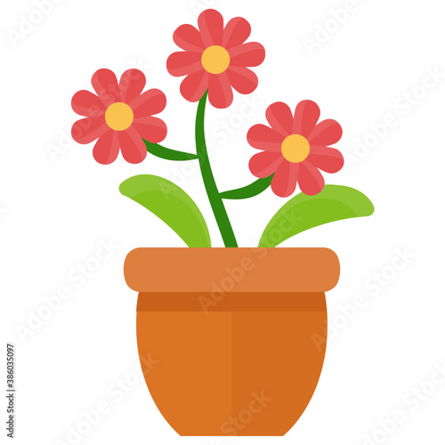  Small flowers on a plant in red color depicting barberton daisy 