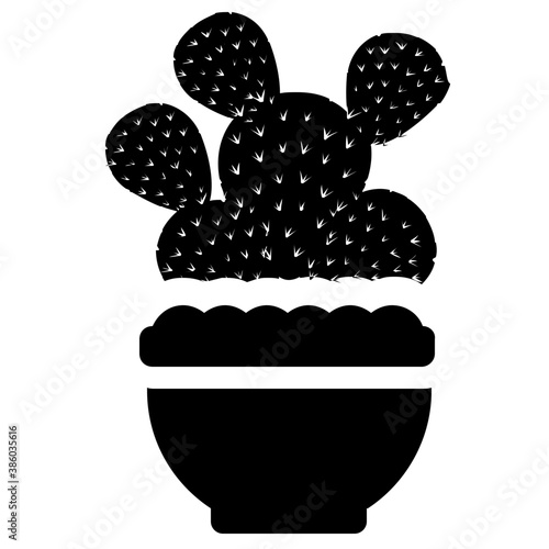 
A pot having flat shape leaves, indoor prickly pear 
