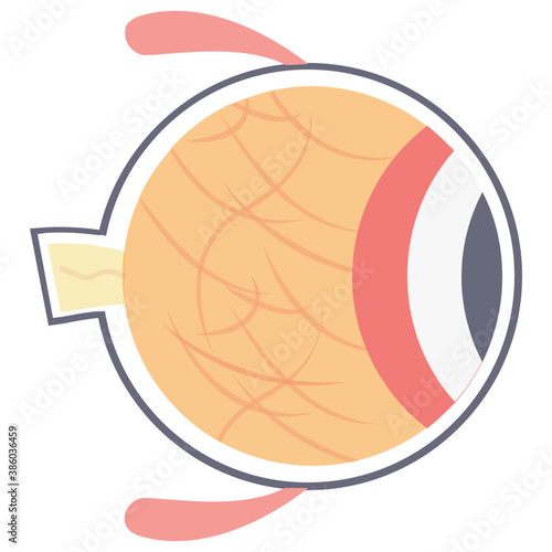 
Internal eyeball with some veins, capillaries and nerves showcasing eye icon
