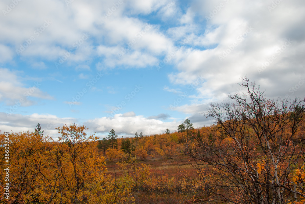 Fototapeta premium Colors of autumn nature in Finnmark region of Norway