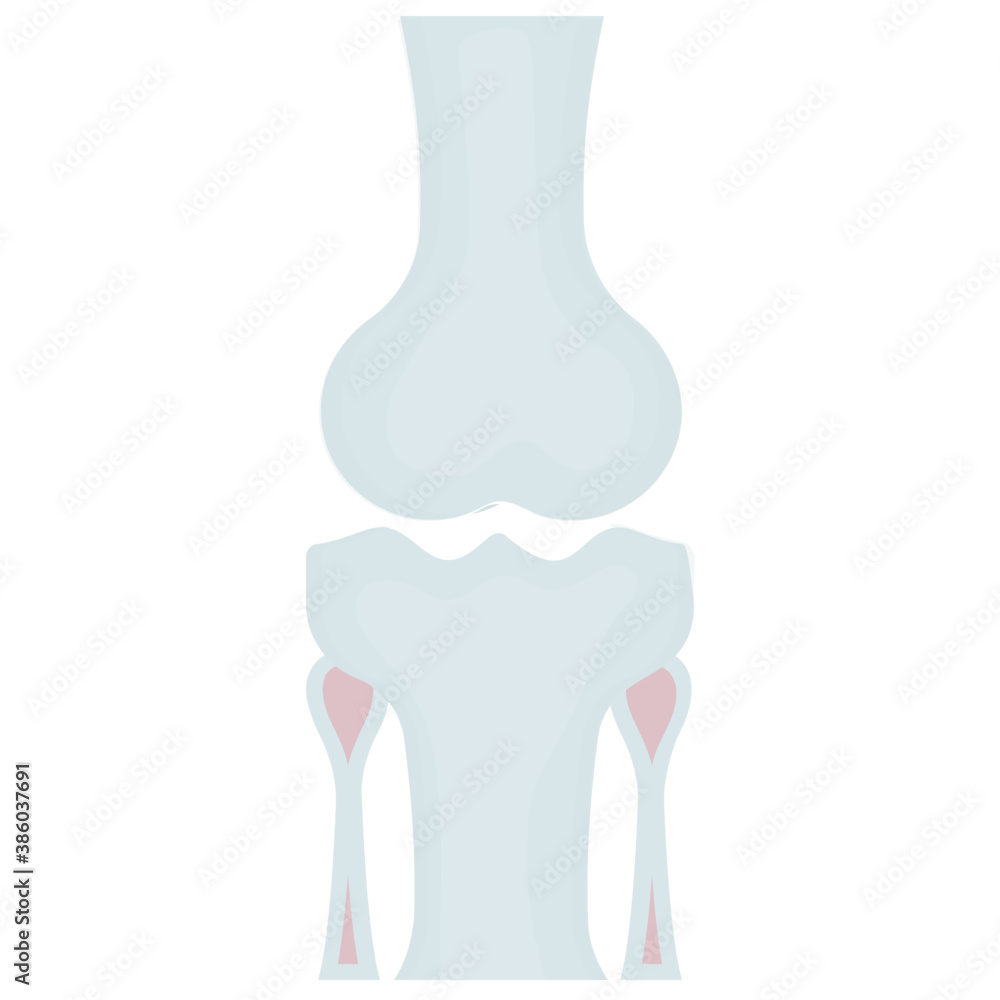 An icon showing leg bone joint or knee bone
An icon showing leg bone joint or knee bone