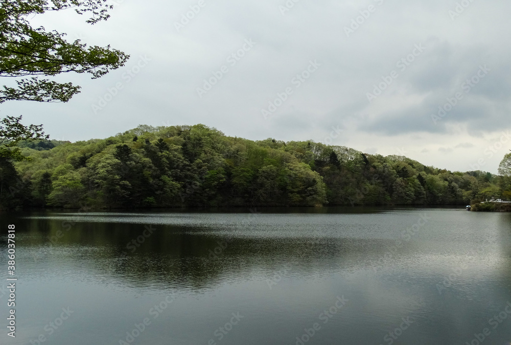 Quiet and beautiful Tsukiyama Pond with cloudy weather in Ayashi, Sendai city, Japan