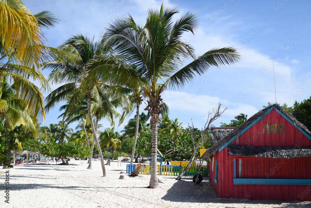 Naklejka premium Caribbean beach with palm trees