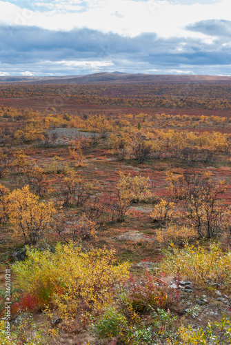 The scenery of wild and autumn nature of the Finnmark region of Norway