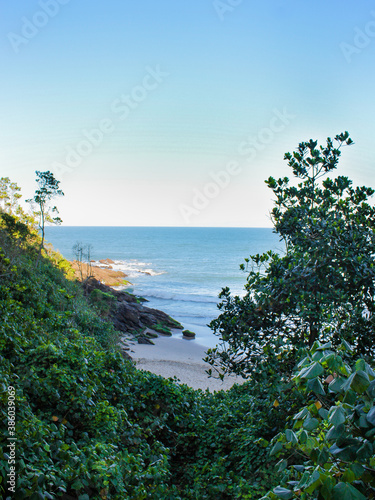 Sea Seen Through The Trees