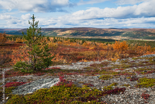 The scenery of mountains and autumn forests of Finnmark, Norway