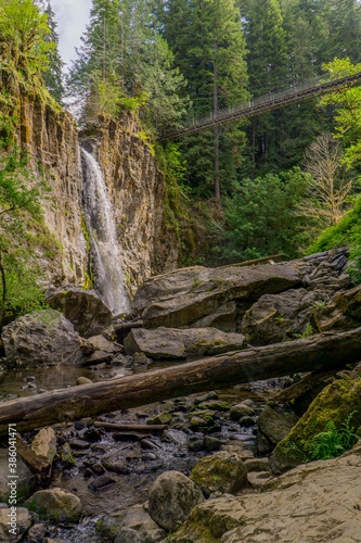 Принти на полотні Drift Creek Falls Trail, Siuslaw National Forest, Otis, Oregon, USA