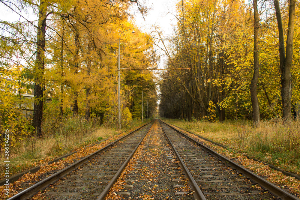 Railway in perspective among yellowed trees with falling leaves on a cloudy autumn day and space for copying Railway in perspective among yellowed trees with falling leaves on a cloudy autumn day and space for copying