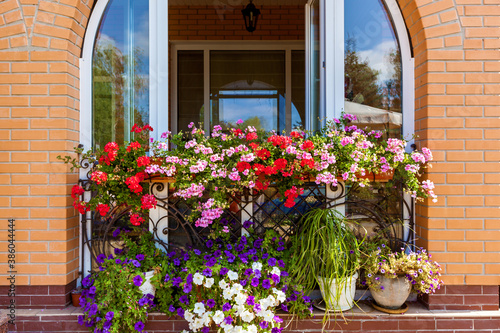 flowers on the windowsill