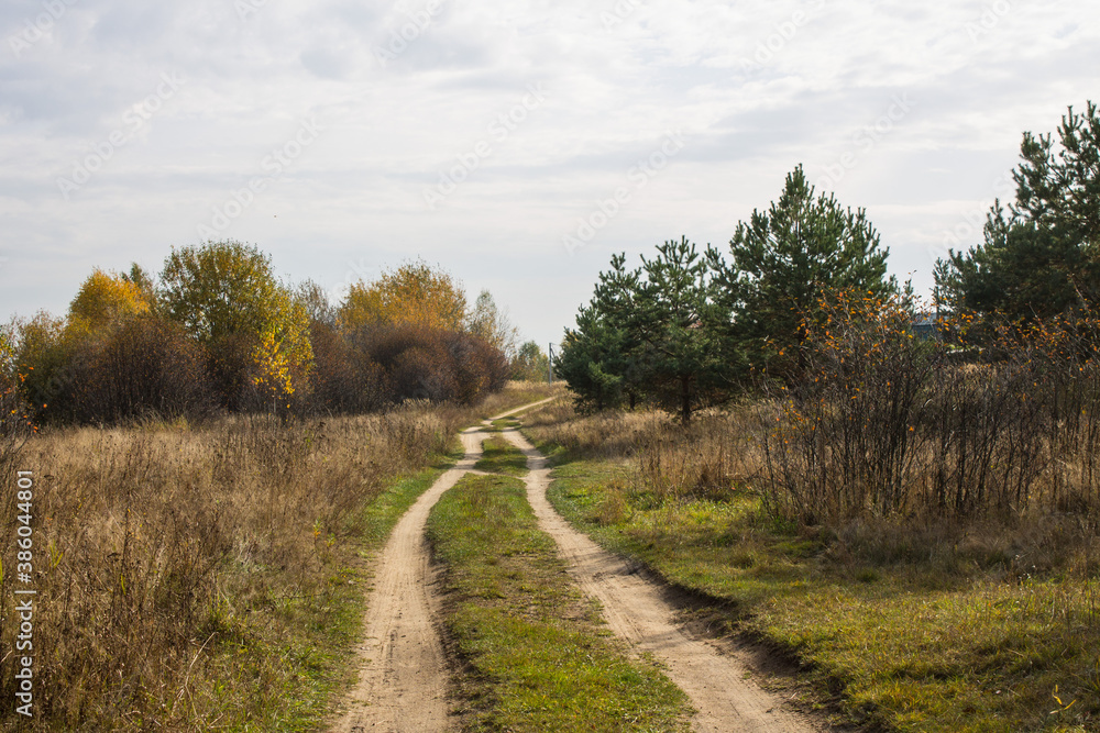 Autumn landscape - road among yellowed trees and overcast sky and space for copying