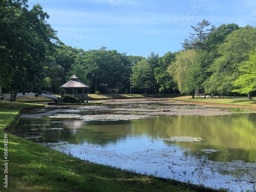 pavilion in the park