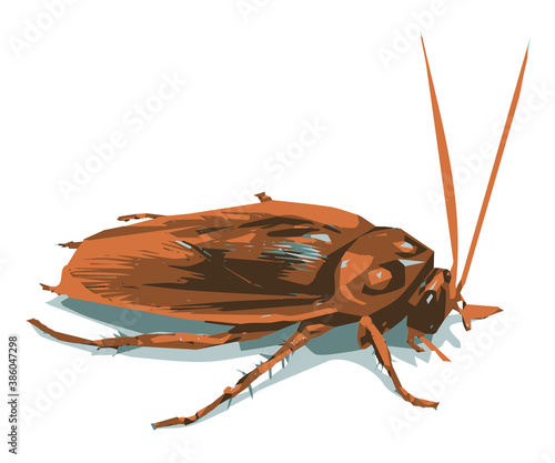 Cockroaches (or roaches) are insects of the order Blattodea, which also includes termites.