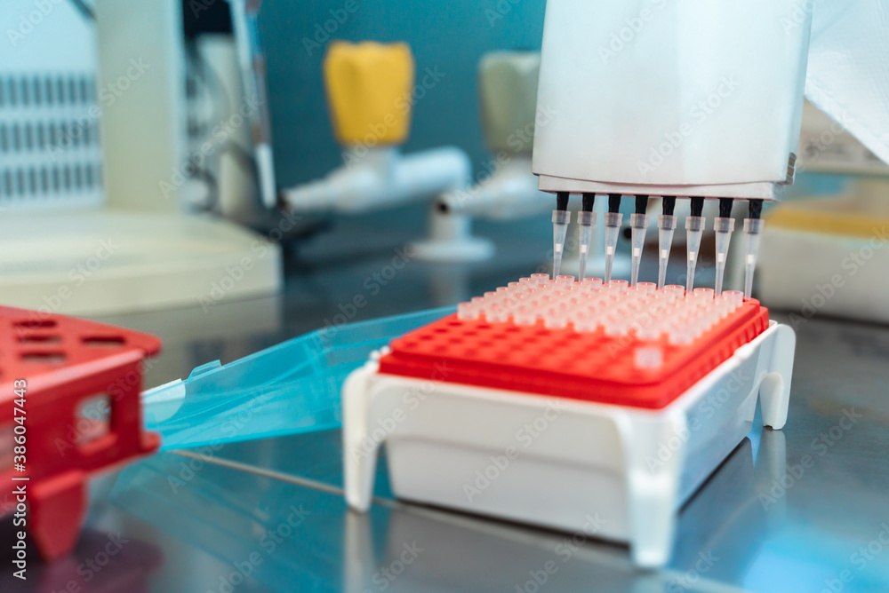 Microbiologist working on biological sample contaminated by coronavirus - Covid epidemic outbreak concept - Focus on multichannel pipette Microbiologist working on biological sample contaminated by coronavirus - Covid epidemic outbreak concept - Focus on multichannel pipette