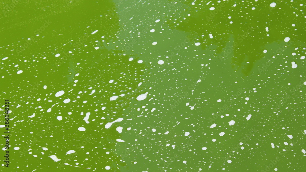 Acqua verde della fontana nel parco in inverno