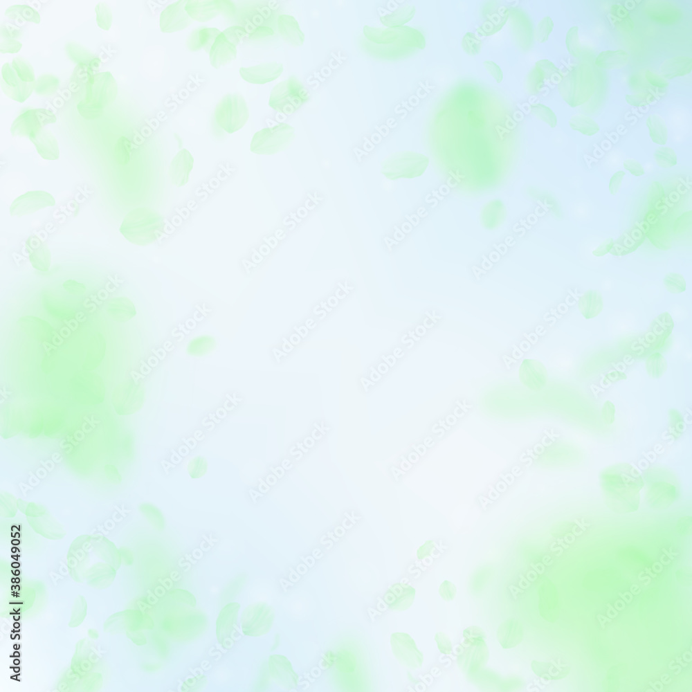 Green flower petals falling down. Symmetrical roma Green flower petals falling down. Symmetrical roma