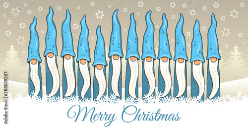 Christmas Team with blue gnome  in a snow landscape