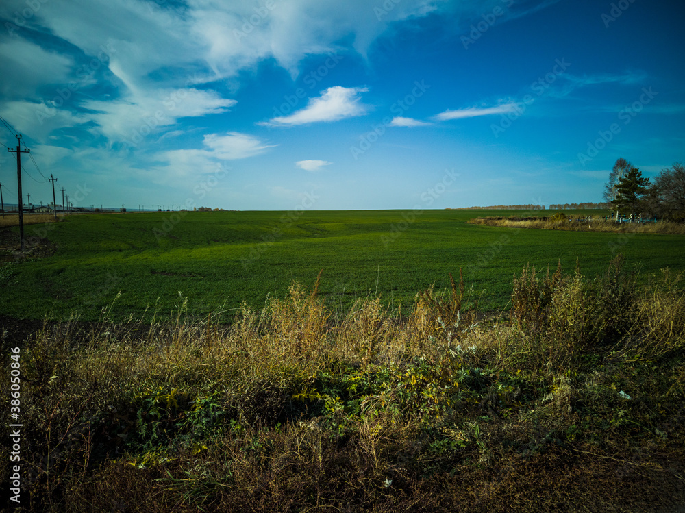 field and sky